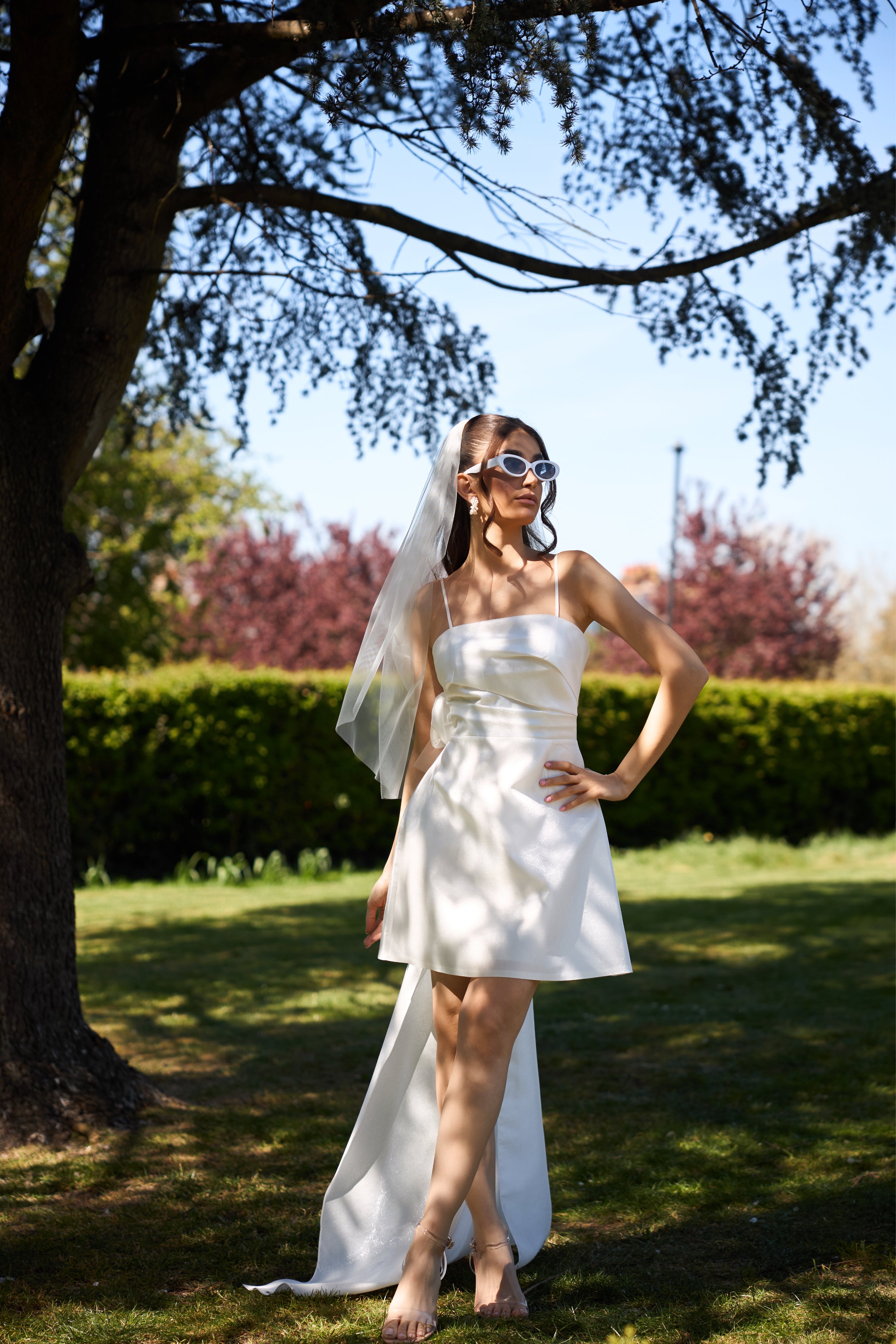 AZIZE - A-Line Mini Dress with Rose Detailing & Back Drape | Luxe Couture AZIZE - A-Line Mini Dress with Rose Detailing & Back Drape | Luxe Couture