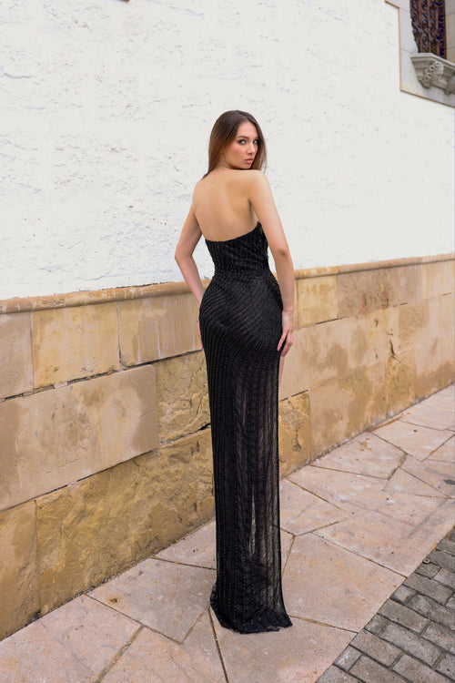 LARISA
